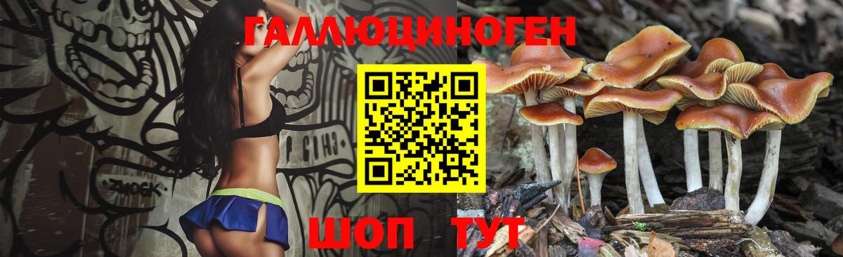 Псилоцибиновые грибы GOLDEN TEACHER  Псилоцибиновые грибы Cubensis  Долгопрудный  Вход с VPN 